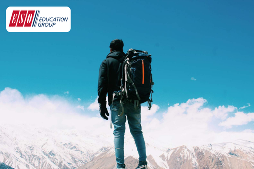 Guter Stress- mit Eustress zu mehr Lebensqualität (On-Premises)